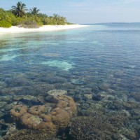 Coral reef ecosystem services: investigating access and equity