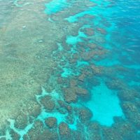 Reconstructing the destructive and benefical impacts of tropical cyclone on reefs