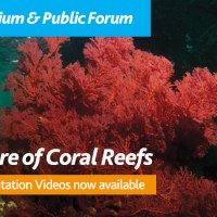 The Future of Coral Reefs (Canberra)