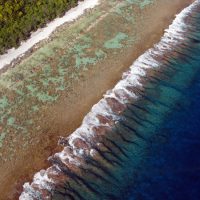 The secret life of spurs and grooves: understanding the geomorphology of the fore reef