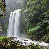 The ecological benefits and economic costs of protected areas