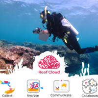 Towards integrating global coral reef monitoring using artificial intelligence