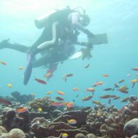 Understanding human impacts on coral reefs across multiple scales to guide conservation and management
