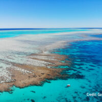 Improving estimates of coral reef carbonate budgets using habitat-specific rates