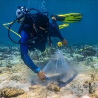An emerging tool to quantify fish resources on coral reefs