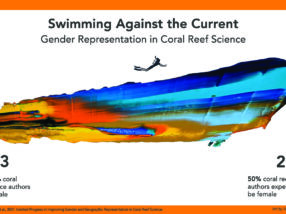 There’s still a long way to go to bridge the gender and economic gaps in coral reef science