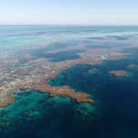 Coral Reefs: Past, Present, and Future
