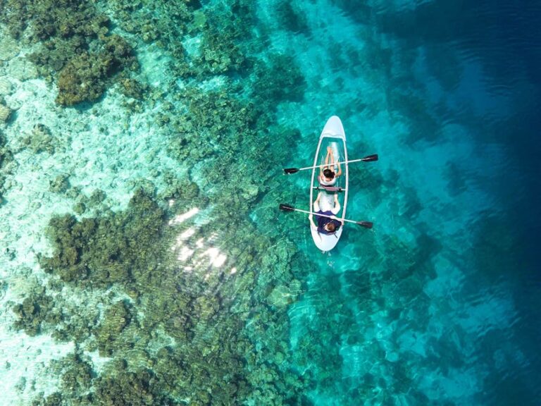 The Reef at Eye Level: Sea Kayaking the Great Barrier Reef
