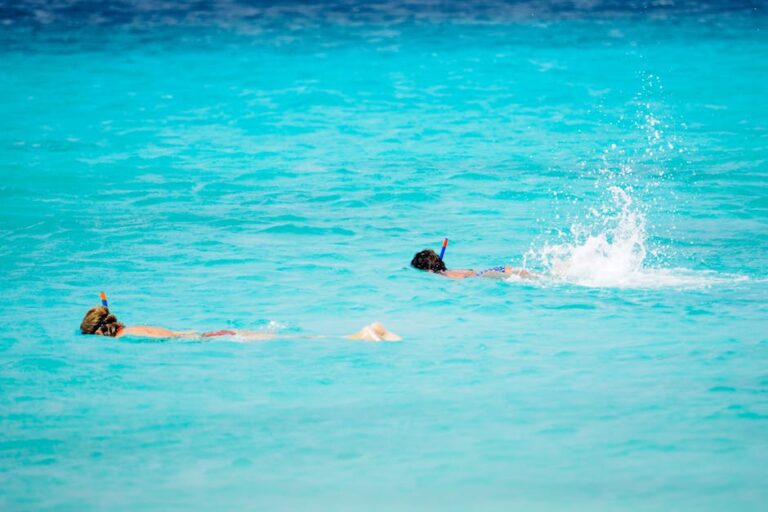 Everything Nobody Told You Before Your First Snorkel