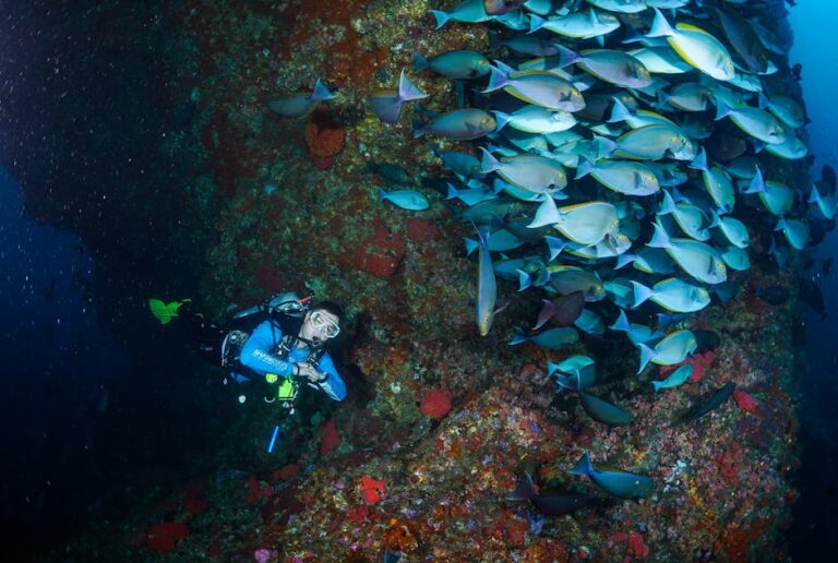 What to Pack for a Reef Trip: The List That Actually Works