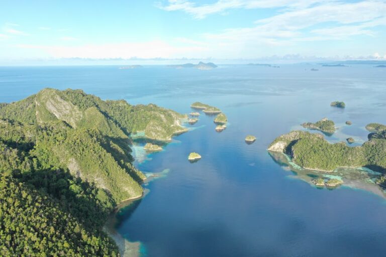 Raja Ampat: The Reef That Resets Your Expectations