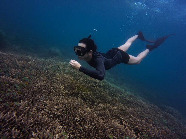 Night Snorkelling: The Reef Experience Most People Don't Know They Can Have