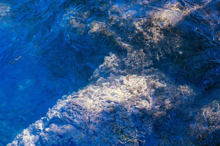 The Aerial Reef: Exploring the Tidal Flat at Low Water