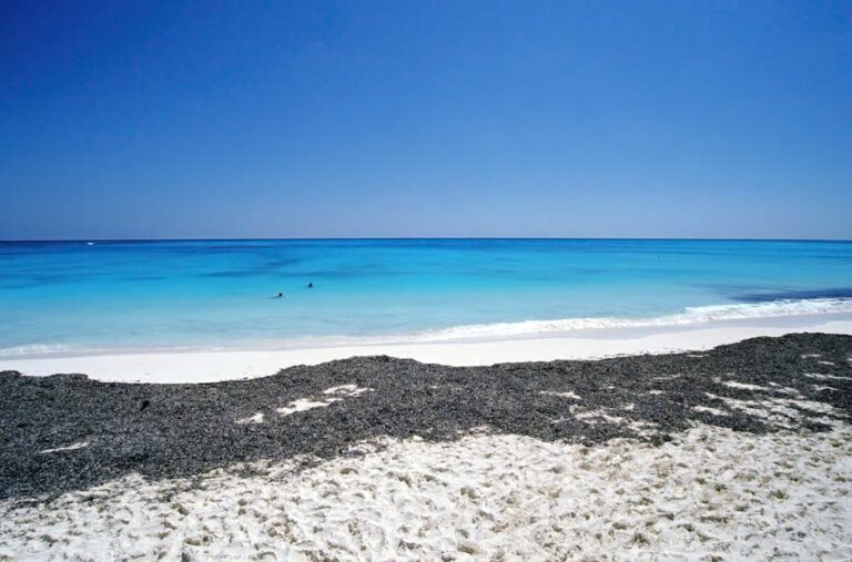 Ningaloo: The World-Class Reef You Walk Into From the Beach