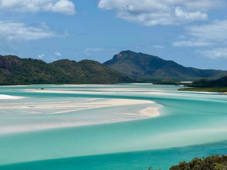 Snorkelling the Whitsundays: Where to Go and What to Expect