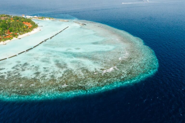 Island Hopping the GBR: How to Choose Between 900 Islands