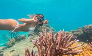 Great Barrier Reef Trip