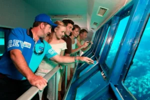 Great Barrier Reef on a Budget