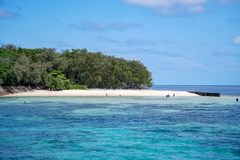 Getting to the Great Barrier Reef: Transport Guide for Every Budget