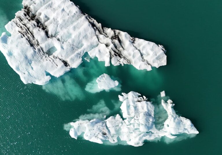 Climate Change and the Reef: The Numbers You Need to Know