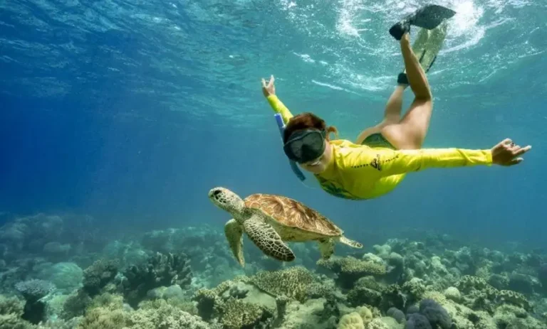Travel Guide to the Great Barrier Reef