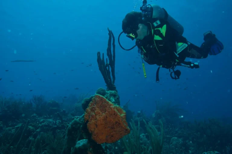 Solo Diving Reefs: Real Risks, Rules, and Finding Your