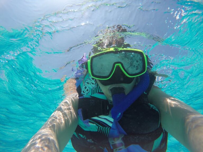 Snorkeling Shallow Caribbean Reefs for Beginners