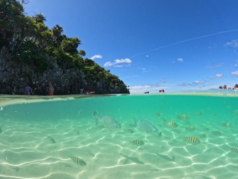 Off the Beaten Path: Hidden GBR Experiences Most Tourists Miss