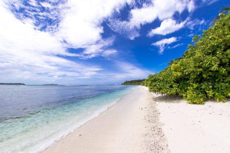 Low Isles vs Outer Reef: Which Snorkel Trip Is Right for You