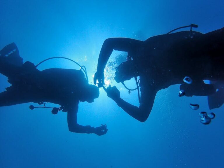 Solo Diving: The Rules, The Risks, and the Rewards