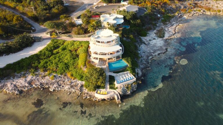 Concerns about Dolphin Behavior Near Grand Cayman Island