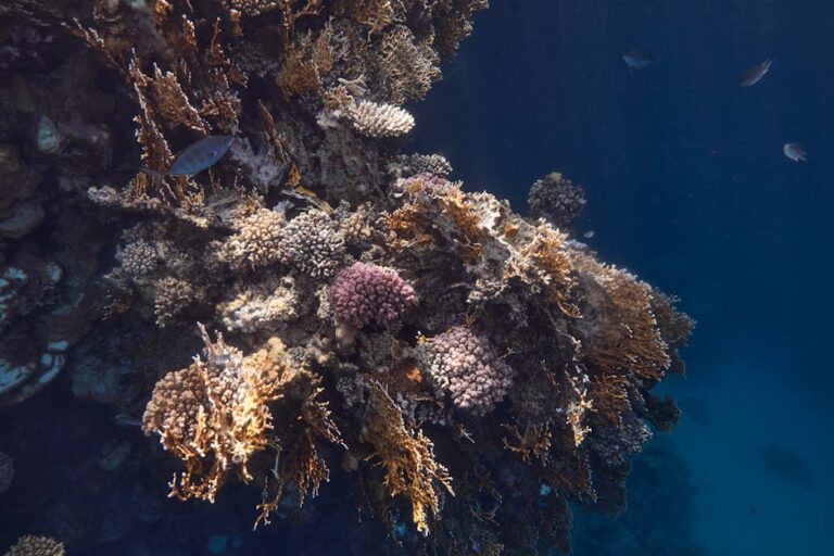 Hurghada to Marsa Alam: Complete Red Sea Gateway Guide