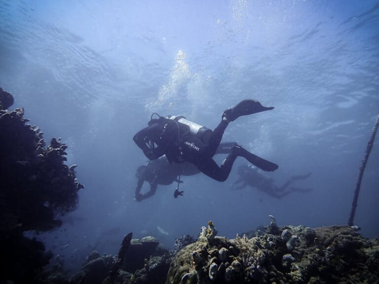 Island Hopping the Coral Triangle: Multi-Country Reef Adventure