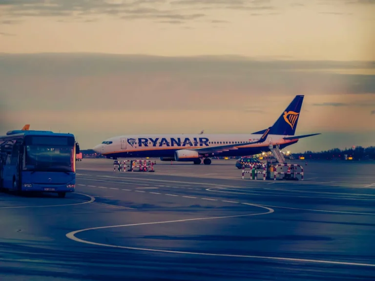 Diving with Dwarf Minke Whales on the Great Barrier Reef