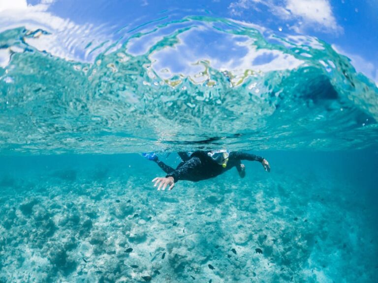 Snorkeling Over Shallow Reef Lagoons