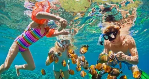 kids reef tours coral actually children