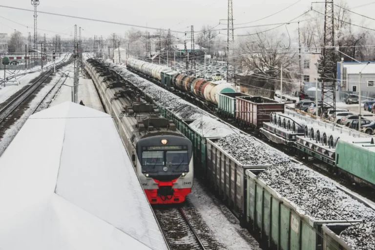 Diving Deep Reefs: What Lies Below the Light