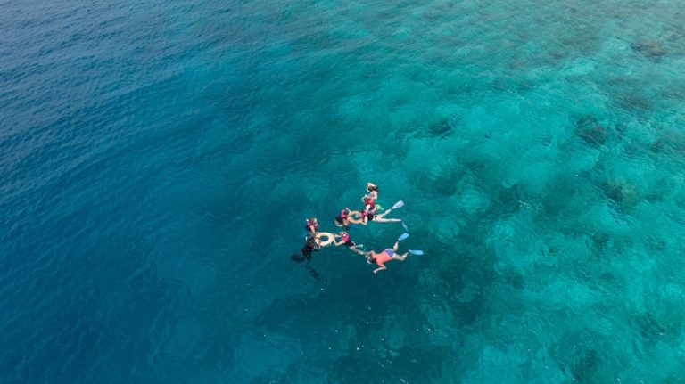 Small-Group Reef Tours: What Actually Matters