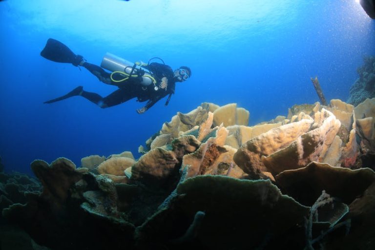 What Advanced Reef Diving Actually Demands