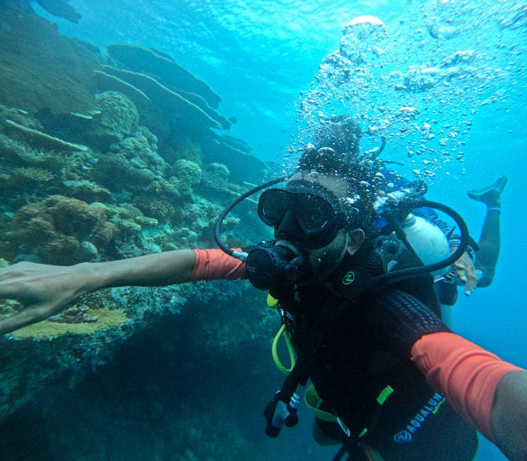 What Reef Tours Actually Cost and Where to Find Value