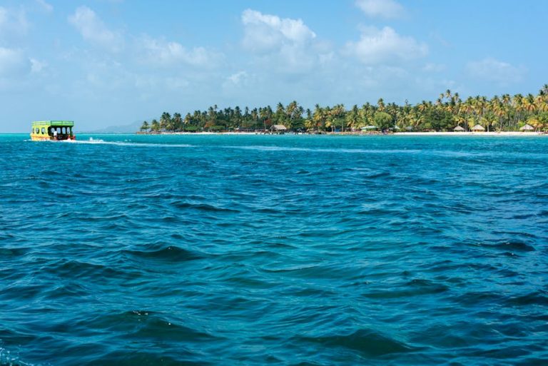 Glass Bottom Boats at Buccoo Reef: What the Experience Actually Feels Like