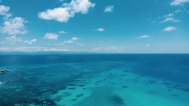 What Full-Day Great Barrier Reef Cruises Actually Feel Like