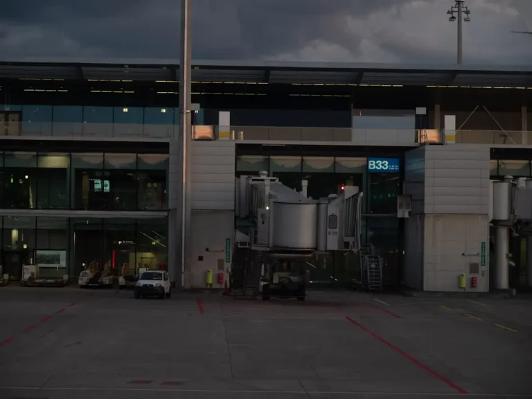 Reef Snorkeling and Drinks in the Caribbean