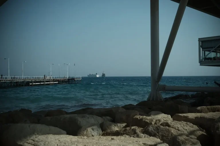 Snorkeling Playa del Carmen's Local Reefs