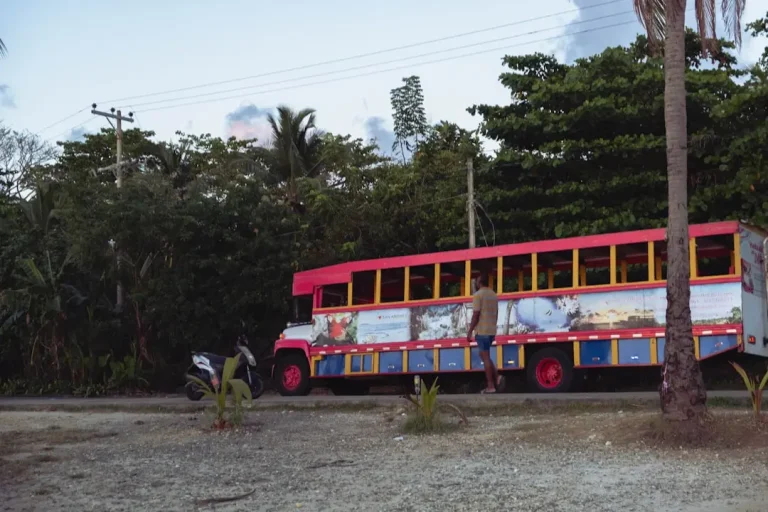 Reef Tours from Puerto Morelos: What to Expect