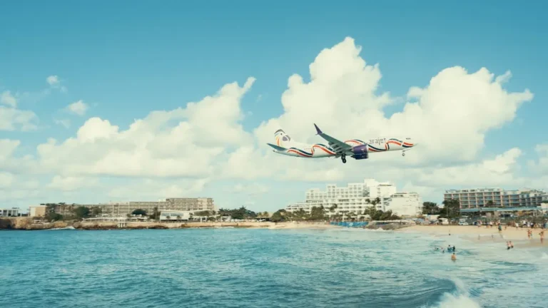 What Seasonal Reef Snorkeling Actually Feels Like