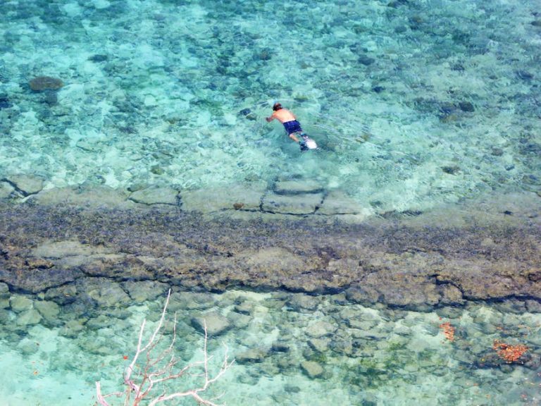 Snorkeling Negril's Reefs: What Actually Awaits Below