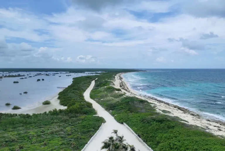 Snorkeling in Cozumel: What Actually Works