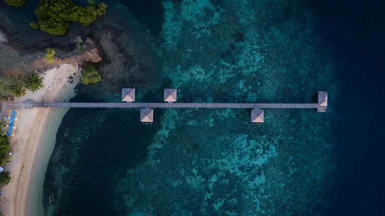 How Protected Reefs Actually Work for Travelers